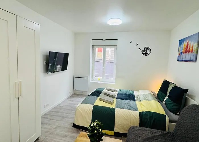 Nid Confort - 2 Pas A La Place De Jaude Clermont-Ferrand